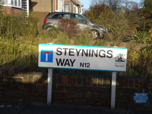 Steynings Way